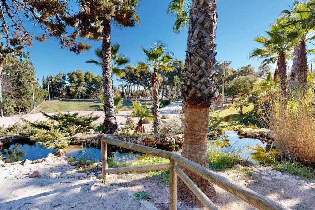 Novelda Centro Habitaciones Con Bano Privado Y Compartido , Cocina Y Terraza Екстериор снимка